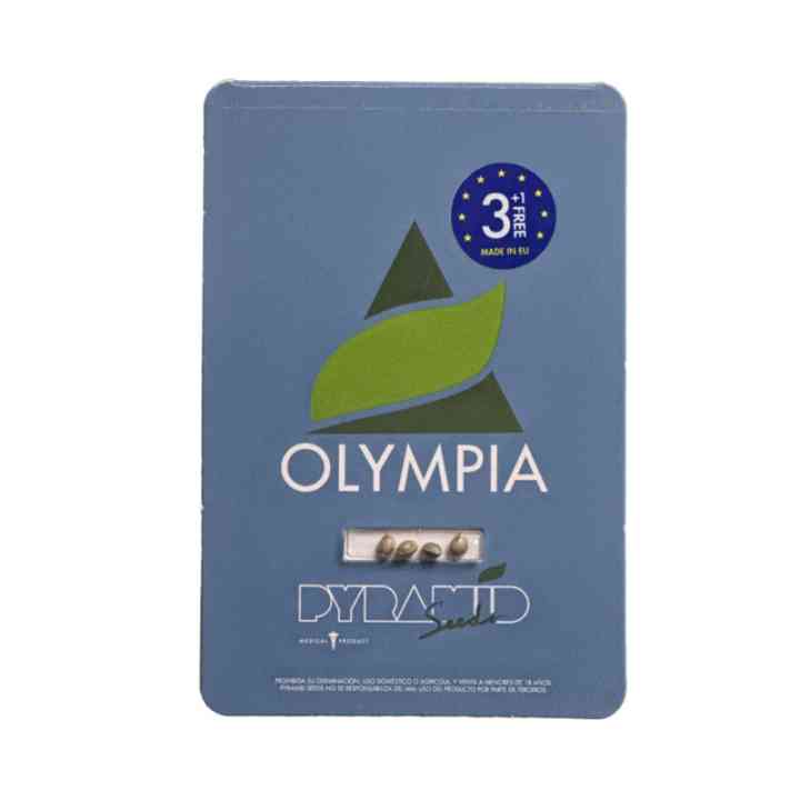 Olympia - Novo nível de qualidade em sementes | Pyramid Seeds