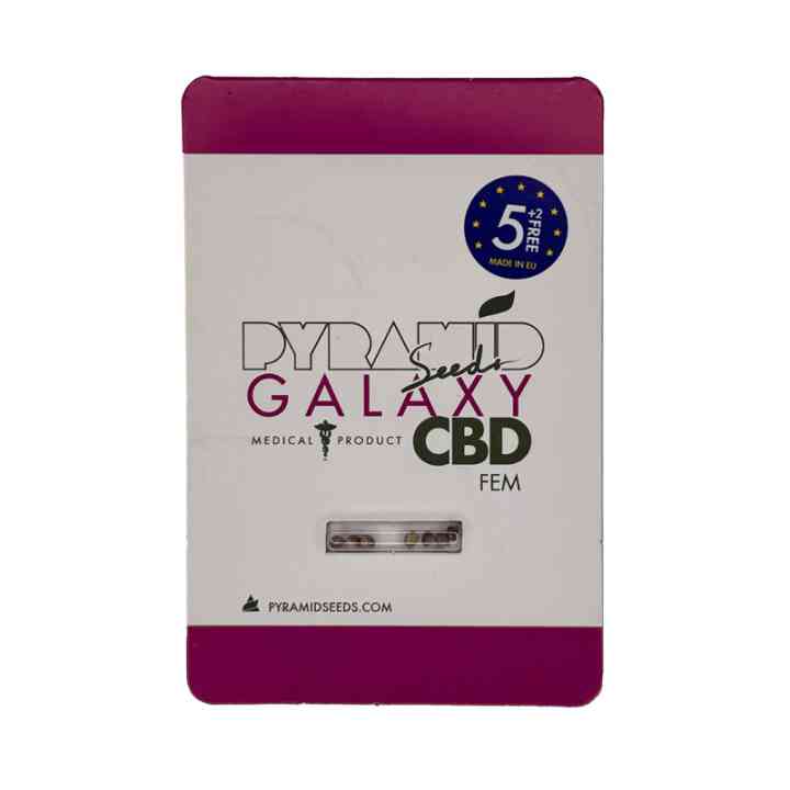 Galaxy CBD – variedad de cannabis para la meditación | Pyramid Seeds