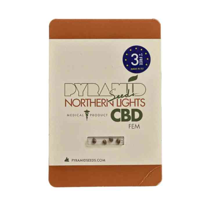 Northern Lights CBD – cannabis medicinal | Pyramid Seeds