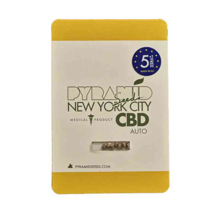 Auto New York City CBD – sativa com CBD até 15% | Pyramid Seeds