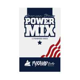 Power Mix American — Gelato Gorilla Cookies feminisierte Samen Pack