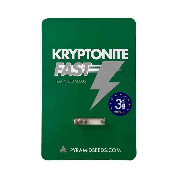 Kryptonite Fast – Genética potente em tempo recorde | Pyramid Seeds