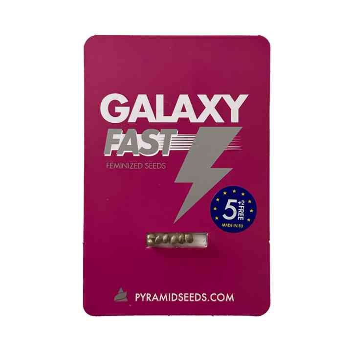 Galaxy Fast — Безумно Быстро, Невероятно Урожайно | Pyramid Seeds