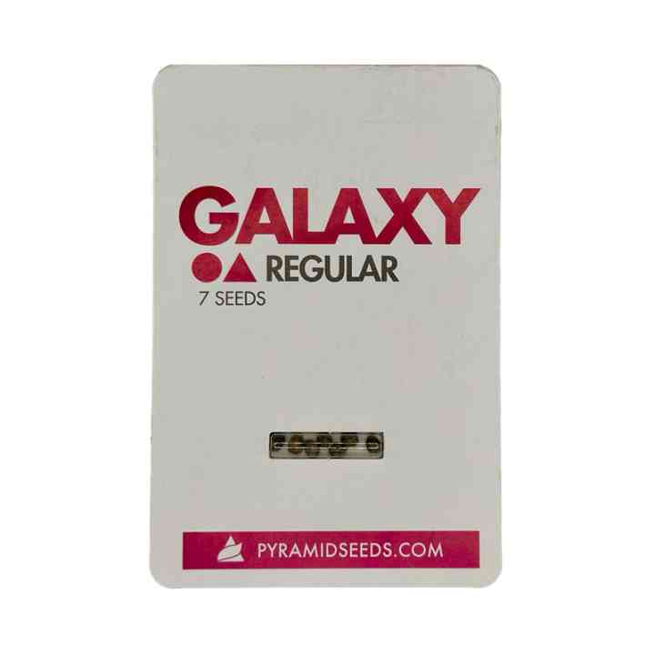 Galaxy Regular – Взрывной урожай | Pyramid Seeds