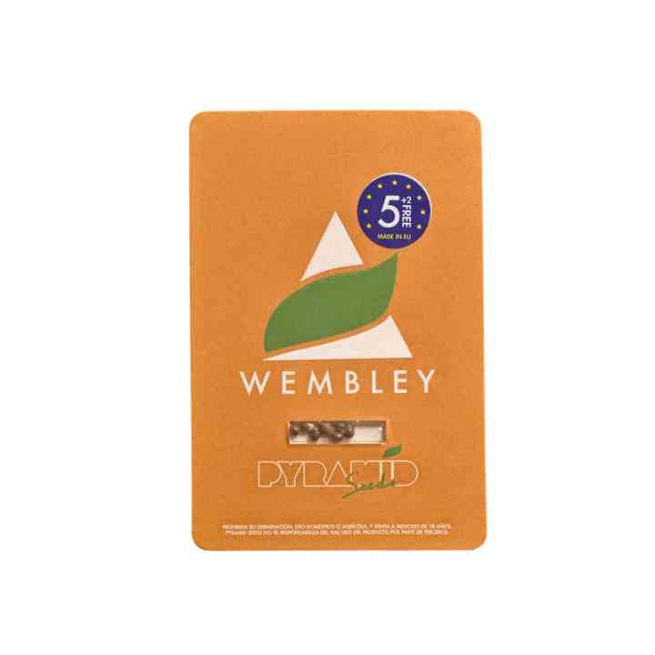 Wembley - Aroma de gumă de mestecat și puterea AK-47 | Pyramid Seeds