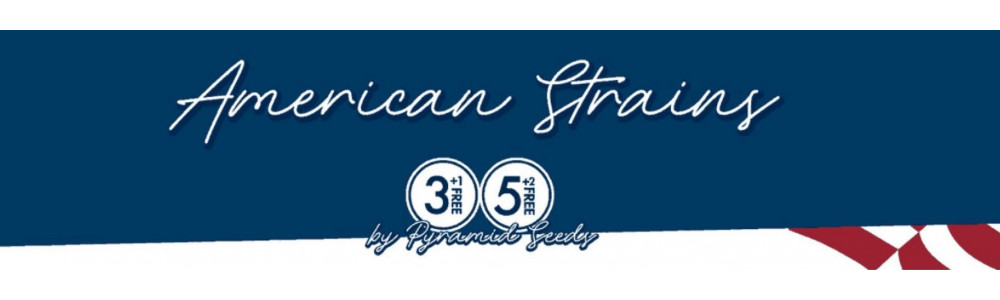 American Strains