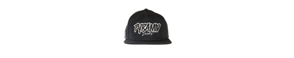 Gorras Snapback - Pyramid Seeds