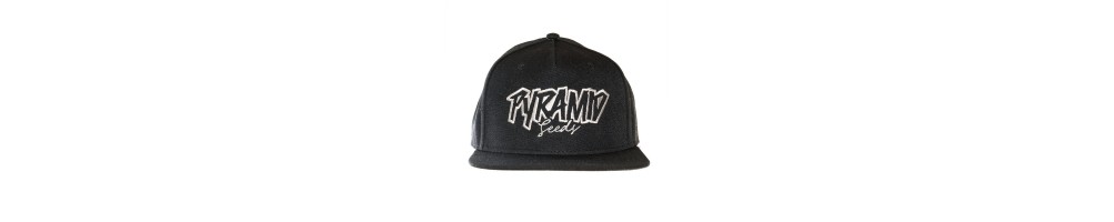 Gorras Snapback - Pyramid Seeds