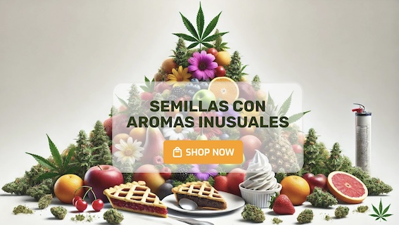 Semillas con aromas inusuales