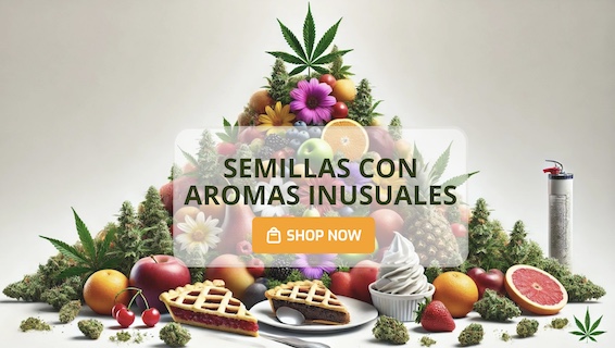 Semillas con aromas inusuales