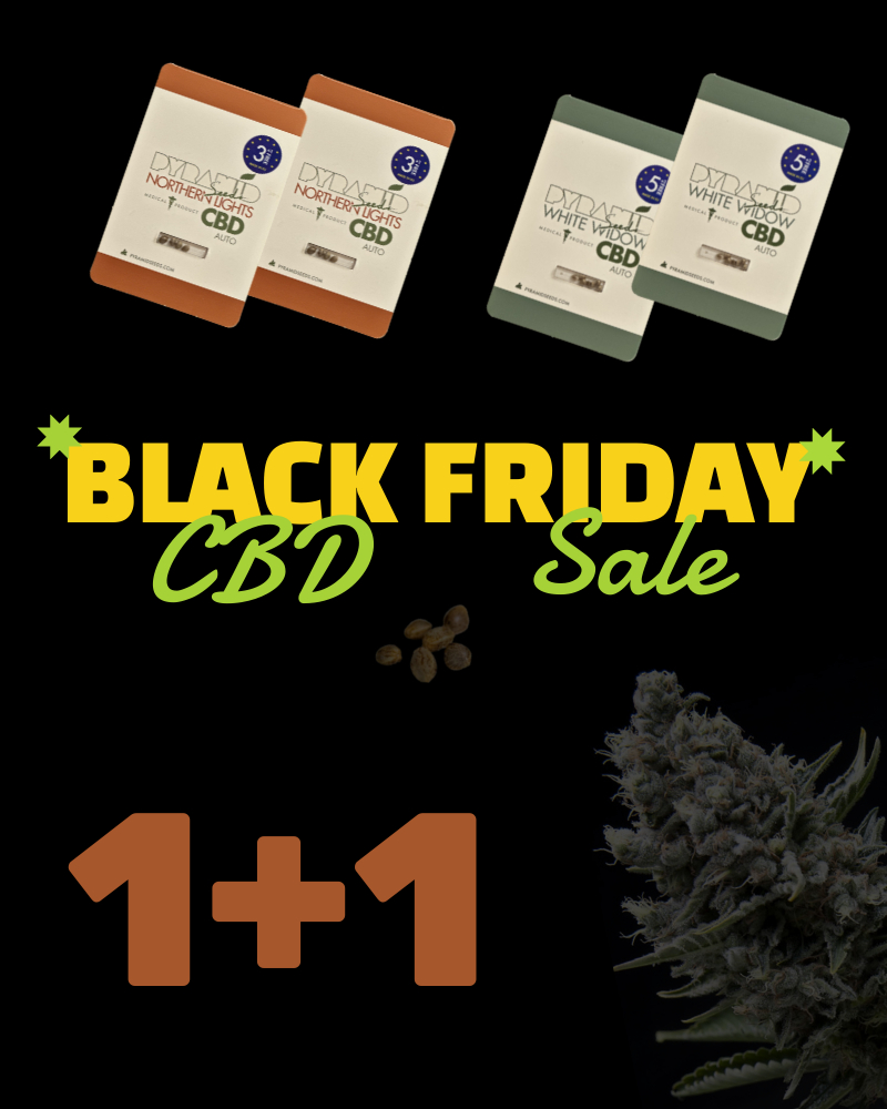 CBD SALE