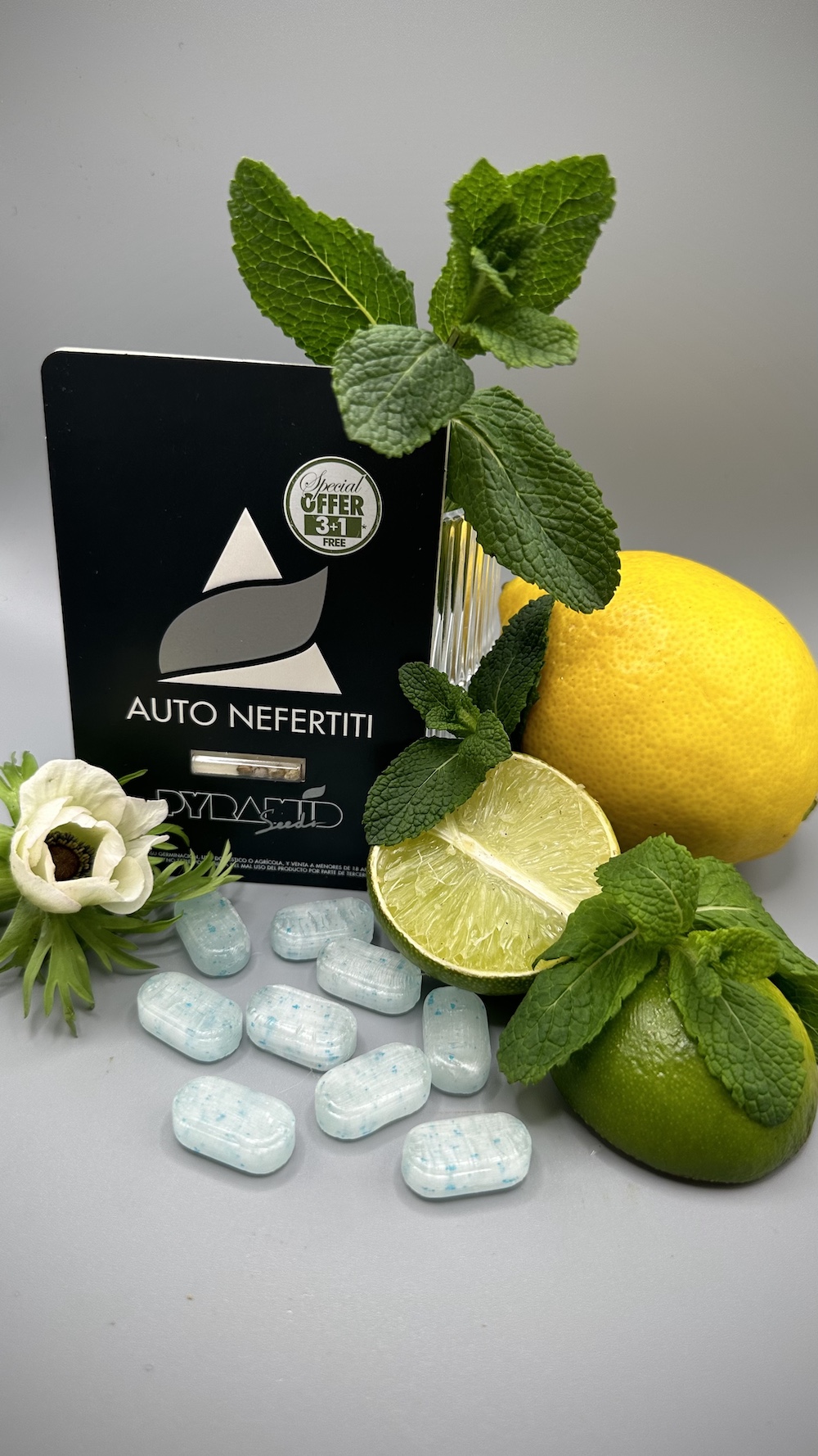 Nefertiti Auto — αυτοανθίζουσα εκδοχή White Widow lineage με πλούσια στρώση ρητίνης