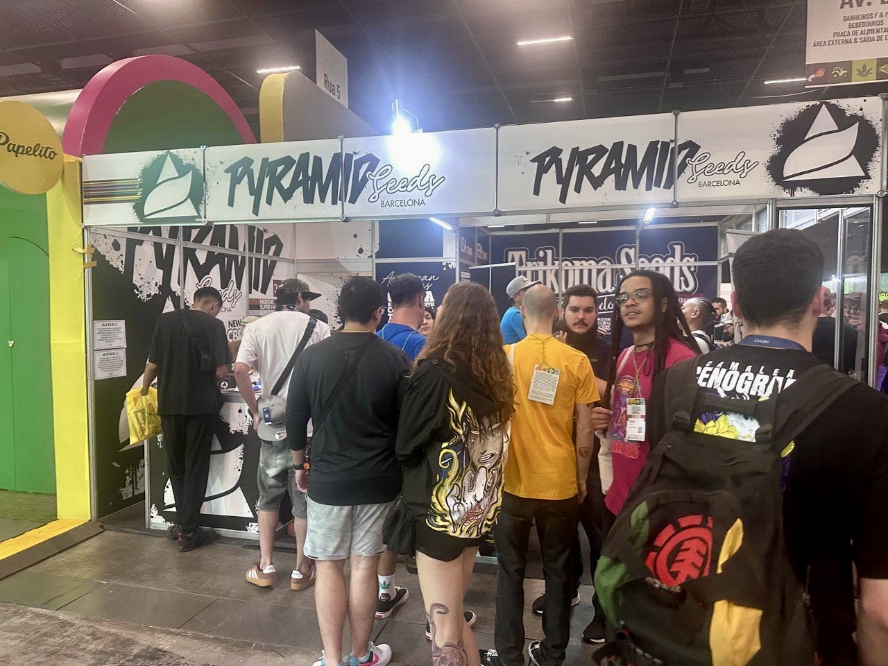 Exposição da Pyramid Seeds