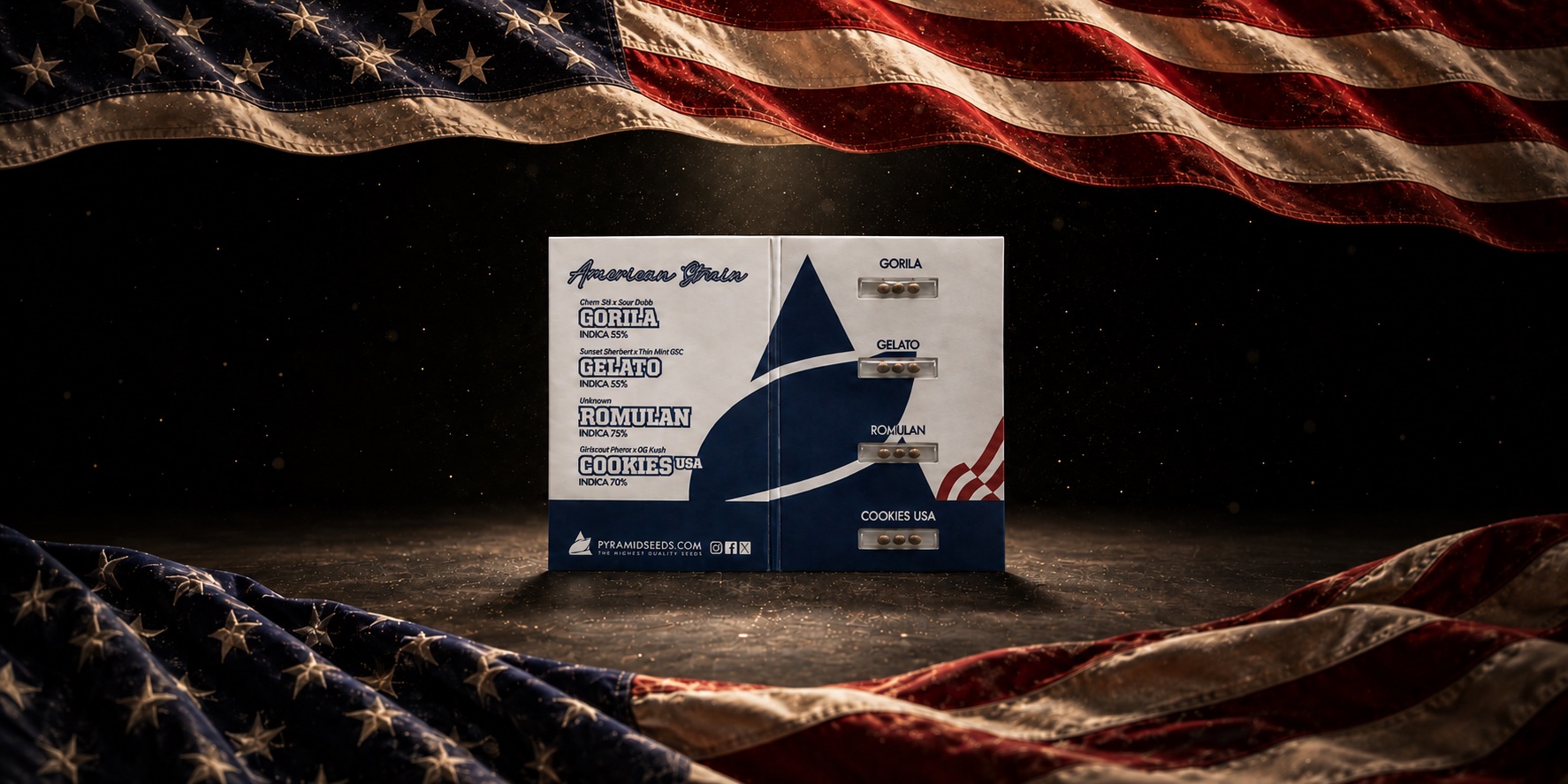 Samenpackung Power Mix American vor einer amerikanischen Flagge