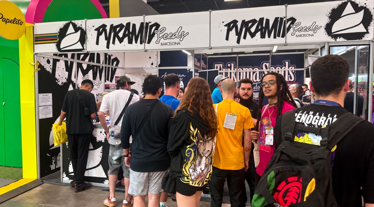 Το περίπτερο της Pyramid Seeds σε έκθεση