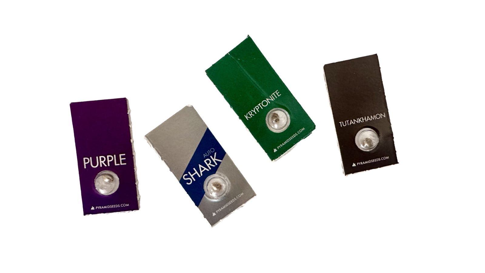 A Pyramid Seeds seed pack