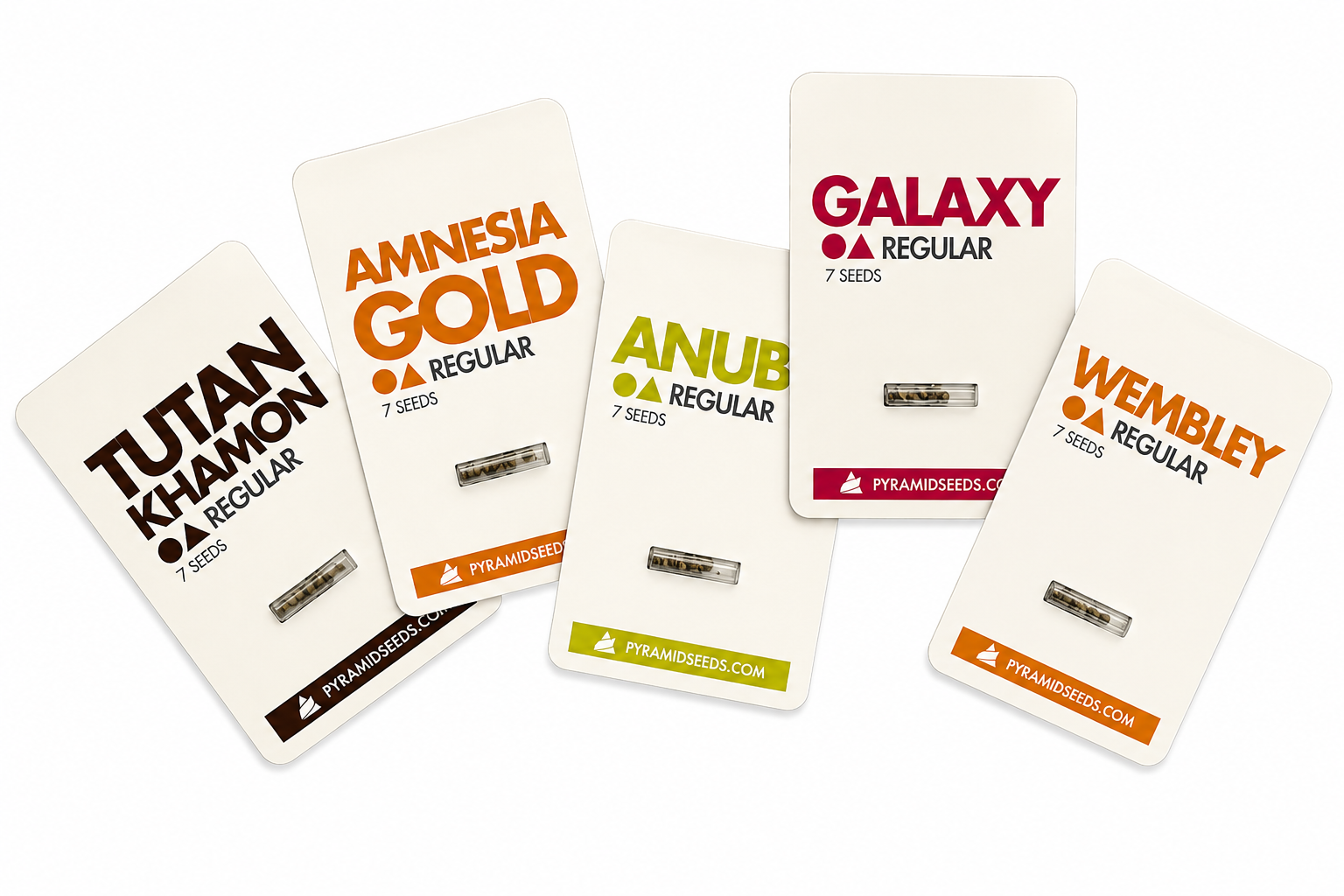 Pyramid Seeds regular cannabis seed packs — strains for breeding and pheno-hunting