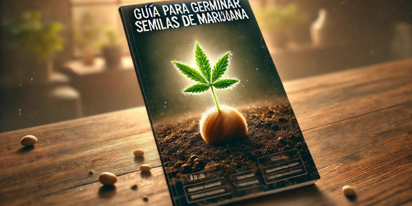 Cómo germinar semillas de marihuana