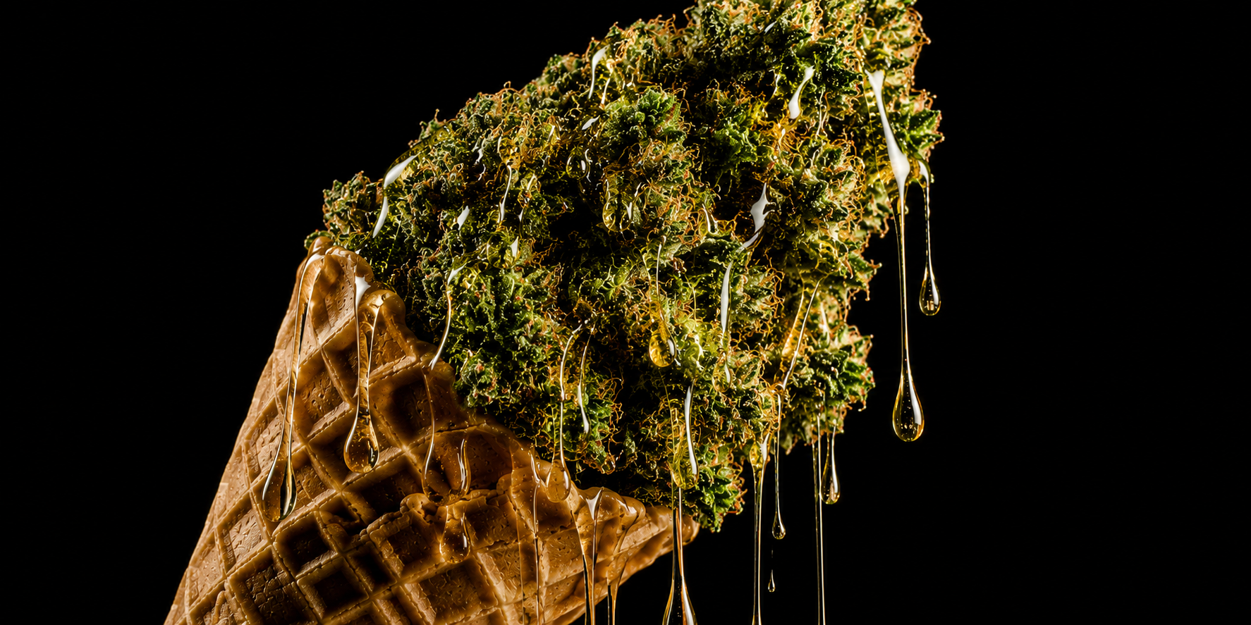 Gelato Strain: Leitfaden zu Wirkung, THC-Gehalt, Aroma und Genetik