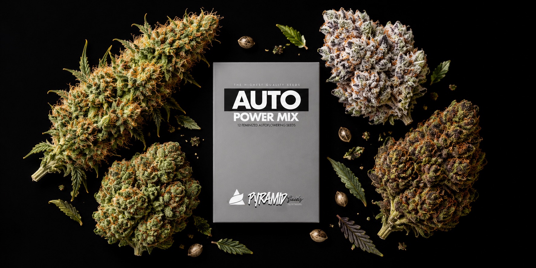 Power Mix Auto: четыре автоцвета в одном паке — от сативы АК-47 до Hash Plant