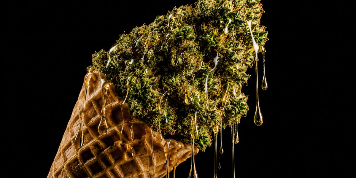 Gelato Strain: οδηγός για τα αποτελέσματα, τα επίπεδα THC, τη γεύση και τη γενεαλογία